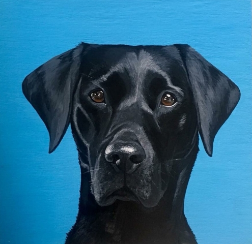 black labrador acrylic painting portrait private commission artwork