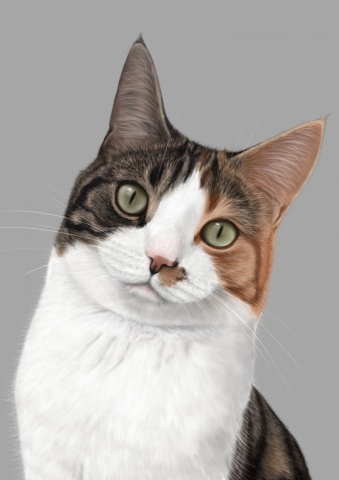 Cat digital artwork painting display tablet portrait