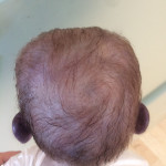 Trimmed punched hair
