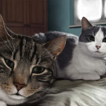 Cats digital portrait