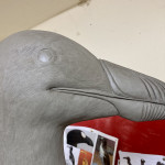 Great Auk close up