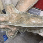 Life sized giraffe head mould