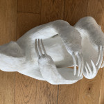 Sloth model cast