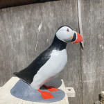 Atlantic puffin painted model