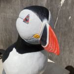 Atlantic puffin painted model