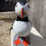 Atlantic puffin painted model