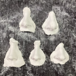 Family tree nose casts